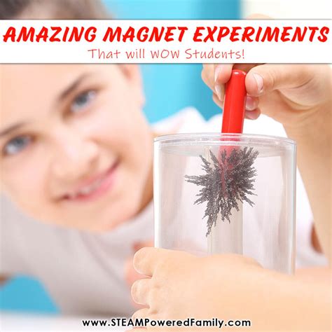 explorify magnets.